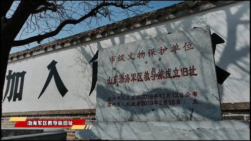 从渤海之滨到天山脚下 老槐树见证红色誓言